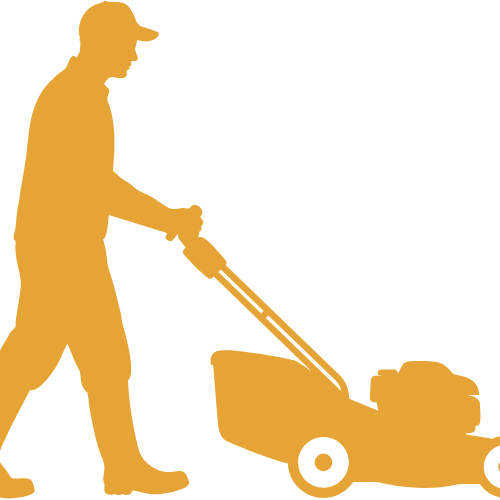 25,000 Sq.Ft Lawn